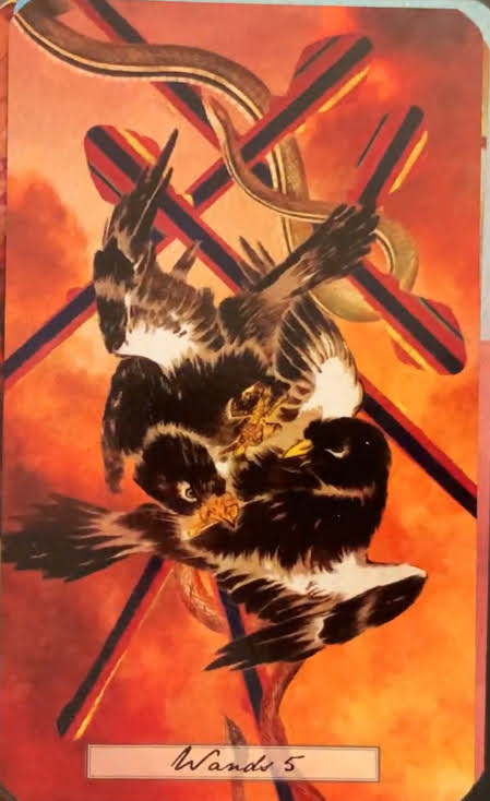 The Uncommon Tarot Shaheen Miro